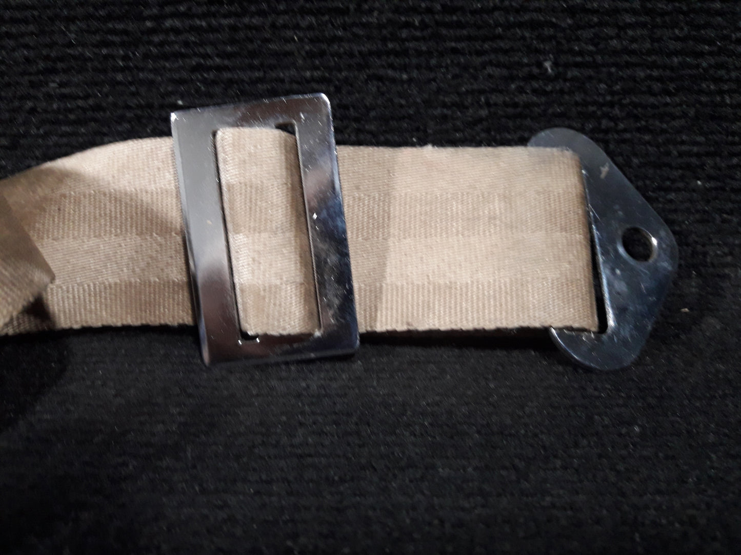 Rear Lab Belt Assy (brown) - C-GAGZ (#551 374)