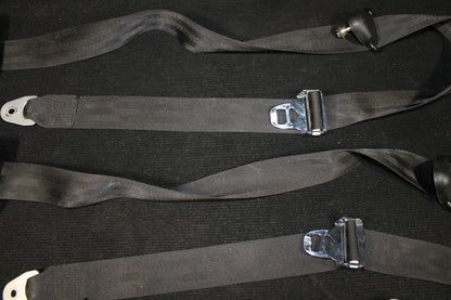 Seat Belts Rear - C-GFYD (#C628-4)