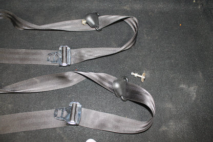 Seat Belts Rear - C-GFYD (#C628-4)