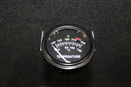 Temperature Indicator - Rochester - C-GXZZ